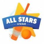 All Stars Cricket at North Oxfordshire Clubs